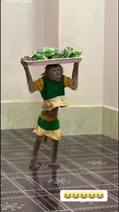 494K views · 14K reactions | Jay Coded on Reels | Facebook