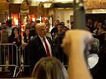 Trump says it's 'an honor' to be up by ten in latest DailyMail.com poll numbers