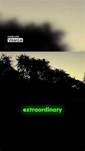 Align With the Life That's Reaching for You #consciousness #quantumshifting #motivation