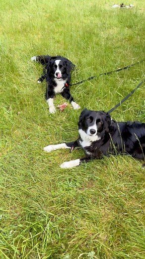 Camping at new location by a river. ❤️AB #camping | AB Camping and Outdoors