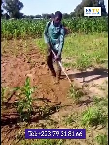 Incroyable machine pour l'agriculture très intéressante | ES-TV