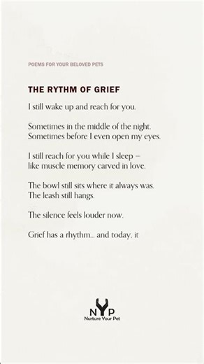 A Poem for Anyone Missing Their Pet Today 🤍