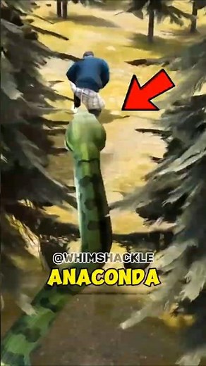 What To Do If An Anaconda Attacks 😱