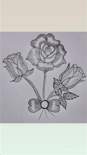 Rose Drawing Pencil Sketch || how to draw a rose step by step || draw a rose