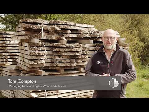 Wood Knowledge: An Introduction To Elm