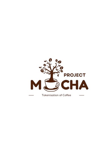 Project Mocha on TikTok