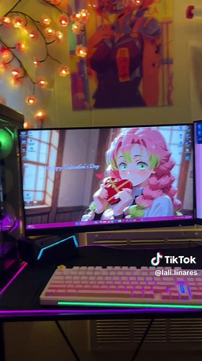 Ultimate Adjustable Dual Monitor Setup with HUANUO