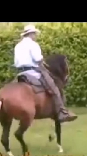 Horseback Riding in a Beautiful Outdoor Setting