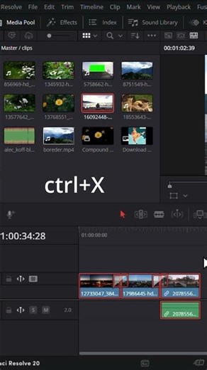 Changing FPS in Timeline DaVinci Resolve20