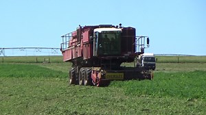 2.8K views · 81 reactions | Another clip of processing (vining) peas being harvested at one of Summerhill Agriculture's properties near Quamby Bend, in Northern Tasmania, back on 11th January 2024, by Simplot Harvesters Red team. | Craig's Farming Photos & Videos | Facebook