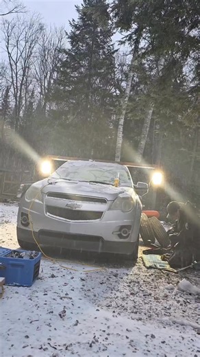 Best dog to follow in 2026 is ? One pick only Jackson 2025 fail best compilation ever | Tommy Gauthier