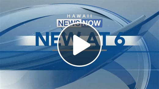 Man arrested for bat attack outside Maui Target - NewsBreak