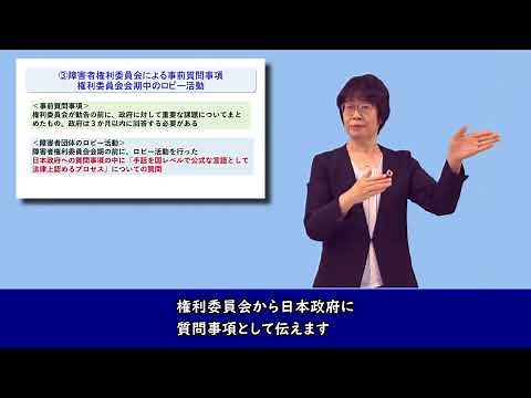 【日本手話言語動画】障害者権利条約～パラレルレポートが日本を変える～