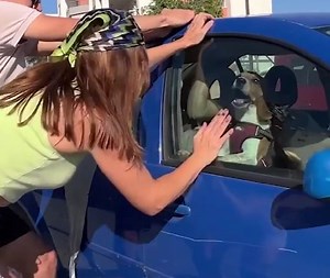 1M views · 4.1K reactions | Conseils pour sauver la vie des parents d'animaux de compagnie pendant l'été  | Brico Enfants | Facebook