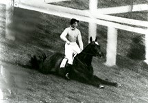 Celebrated author and champion jockey Dick Francis dies aged 89 - Horse & Hound