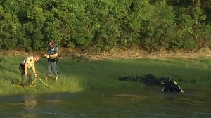 Coast Guard searching for missing swimmer off Biddeford Pool