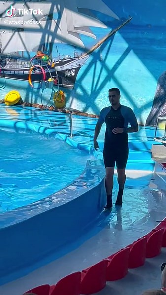 Dolphin Training Highlights at Marine Park