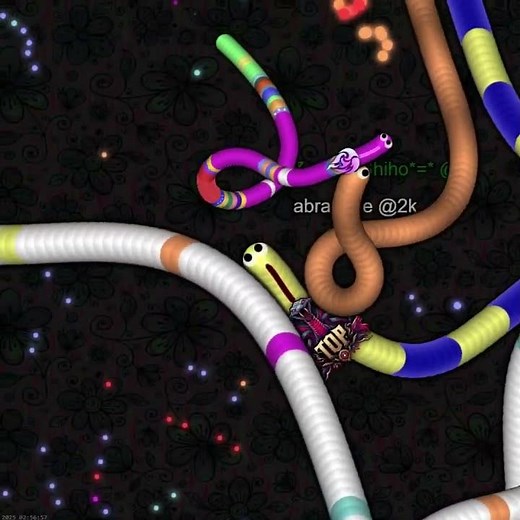 【37】 SKMP Python 【slither.io】