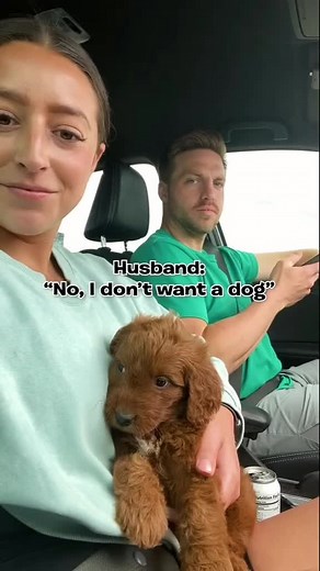 cavapooworld on Instagram: "We didn’t see that one coming… 📷 utahdoodles TT ➖ DM us to get FEATURED! ☺️ Follow us @CavapooWorld and use tag #CavapooWorld ➖ We feature cavapoos and all types of doodles and poodles! 🤗 ➖ #cavapoo #cavapoosofinstagram #cavapoopuppy #cavapoogram #cavapoochon #cavapoos #cavapoolove #cavapooworld #cavapoochonsofinstagram #cavapoouk #cavapoochons #cavapooofinsta #cavapoosofinstgram #cavapooboy #cavapoosofinsta #cavapoosofig #cavapoochonpuppy #cavapoolife