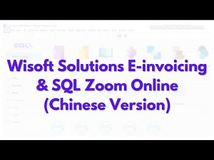 Wisoft Solutions E-invoicing & SQL Zoom Online (Chinese Session) - Recorded Video 30/5/25