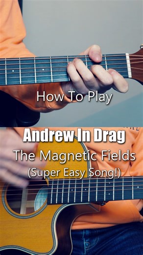 Ipsaous on Instagram: "How to play "Andrew In Drag" by The Magnetic Fields #guitar #tutorial #beginners"