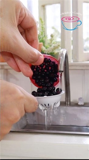 MINIATURE BLUEBERRY #miniaturecusina #food