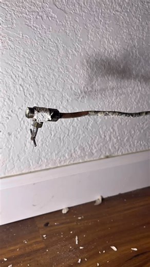 The Amazing Plumber on Instagram: "🧊🚰 Replacing an Old Ice Maker Water Valve. We were called out after Home Depot couldn’t hook up the customer’s refrigerator water line. The old needle valve was the problem those valves are known for leaking when you turn them or getting stuck open, making them hard to shut off. We removed the old valve and installed a new 1/4 turn Dahl 1/4” x 1/4” compression valve. Once the new valve was in, we hooked up the refrigerator and got everything working the right