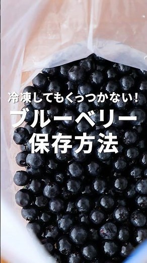 🫐冷凍してもくっつかない！ブルーベリーの保存法 #ブルーベリー #冷凍保存 #朝が楽しみになるレシピ