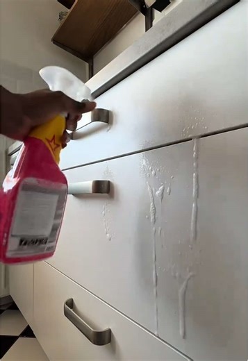 Love Cleaning? Discover Tips for a Satisfying Clean