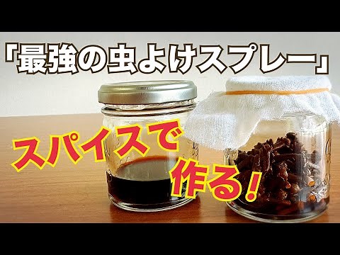 スパイスで「最強の虫よけスプレー」を手作り！簡単ゴキブリ対策！
