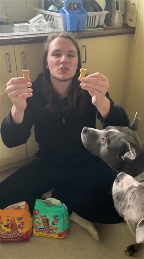 Scooby Snacks Review but the DOG can only Choose ONE☝️