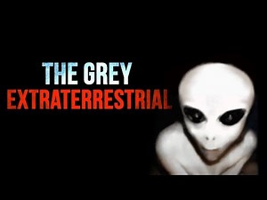 "The Grey Extraterrestrial" Creepypasta