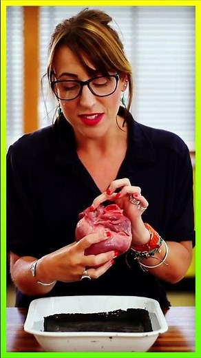 Anatomy of Heart Dissection GCSE A Level Biology NEET Practical Skills