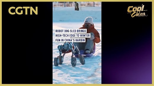 Robot dog sled brings high-tech edge to winter fun in China's Harbin