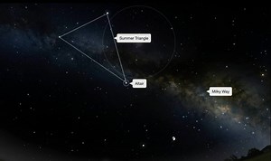 4.2K views · 47 reactions | Almost everything we know about Altair, a bright star in the constellation Aquila, comes from studying its light. There are two main ways to study starlight: with images and with data known as spectra. This ViewSpace interactive details what we can learn about stars from observing images and spectra: https://bit.ly/4gy1xHH | Space Telescope Science Institute | Facebook