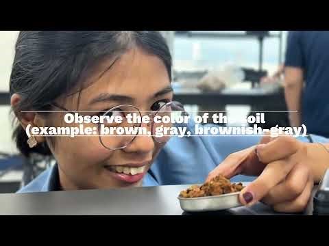 CEGTEC1L - CE31-1 GROUP 1 - EXPERIMENT 4: VISUAL CLASSIFICATION OF SOILS