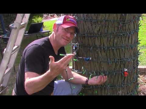 How To Hang Christmas Lights In Trees | Straight Lines!!!