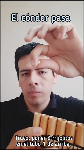 El cóndor pasa #zampoña #panflute #sentimiento #feelings #music #peru #frijoles
