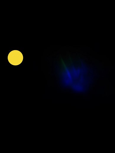 Se busca instrumental: Doogy degli armonium