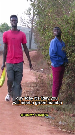 257K views · 4.6K reactions | Your black mamba Will meet green mamba one day藍藍藍 #tommyshadow #relatable #fyp #viral | Tommy Shadow | Facebook