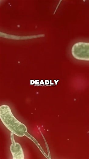 The SHOCKING Truth About Virus Deadliness 🤯🦠