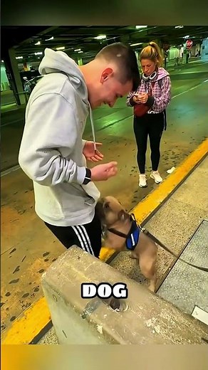 Unbelievable Reunion: Dog Finds His Long-Lost Owner After a Year! | Moments Media