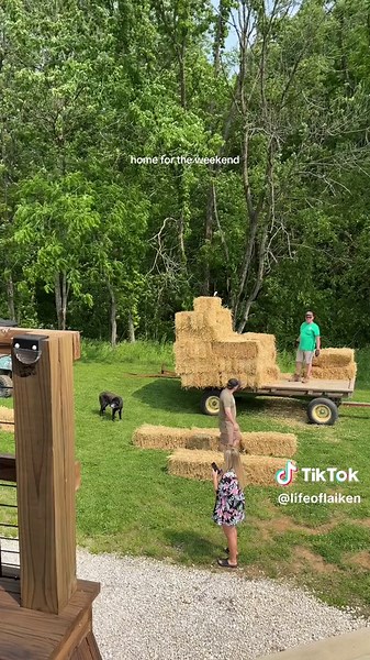 Laiken on TikTok