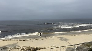 6.4K views · 118 reactions | WATCH: Several surfers hit the waves at San Diego beaches early Monday morning right after reopening. https://www.cbs8.com/article/news/health/coronavirus/some-beaches-in-san-diego-to-open-monday-for-limited-use-ocean-access/509-079b65c3-f8f9-4617-9b77-1dd879331ba7 | CBS 8 San Diego | Facebook