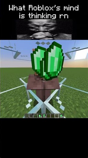 r u serious roblox?😭😔💔 #minecraft