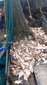 Trawling Adventure: Catching Fish with the Drag Net 🎣🐟 #fblifestyle | Hoodfishing_entertainment