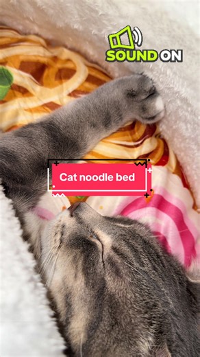 Cat Noodle Bed: Pickle Enjoys Cozy Sleep