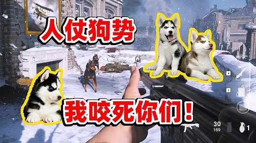 COD18：使命召唤18初体验，新手也能18连杀，打不过就放狗咬死你_高清1080P在线观看平台_腾讯视频