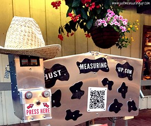 HOW TO MAKE AN AMAZING ROBOT COW SCARECROW