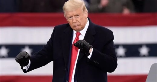 Trump To Provide Boxing Commentary On 9/11 For Holyfield vs. Belford